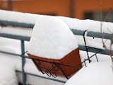 IMG_0283.jpg