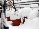 IMG_0286.jpg