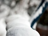 IMG_0295.jpg