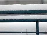 IMG_0298.jpg