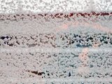 IMG_0301.jpg