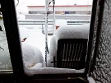 IMG_0304.jpg