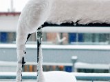 IMG_0320.jpg