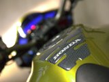 IMG_0631.CR2