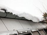 IMG_0665.jpg