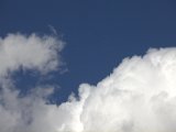 IMG_0919.CR2