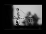 IMG_1298 small.jpg