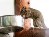 IMG_1612 small.jpg