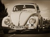 IMG_3266 small.jpg
