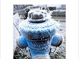 cold6.jpg