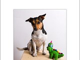 kleiner grüner Dino.jpg