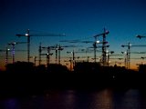 IMG_0498.jpg