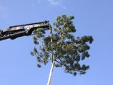 IMG_0001.CR2