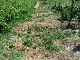 2014-06-23 13.53.22.jpg