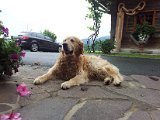 2014-06-24 15.50.30.jpg