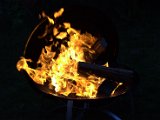 IMG_0151.CR2