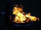 IMG_0153.CR2