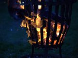 IMG_0187.CR2