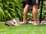 IMG_0097.jpg