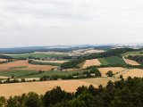 IMG_0310.jpg