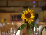 IMG_0019.CR2