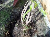 2014-06-27 17.02.41.jpg