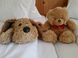 20150404_110449.jpg