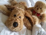 20150405_104257.jpg