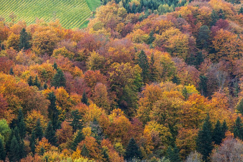 201610_084