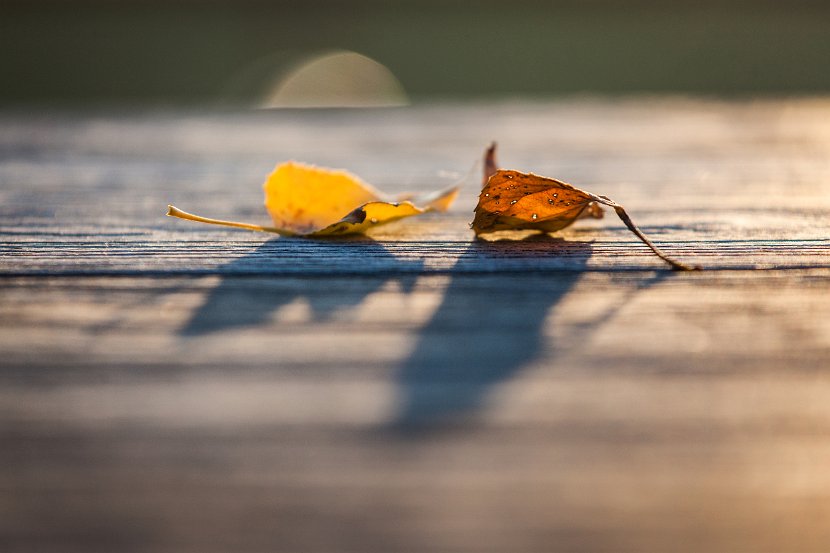 201710_014