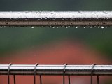 201505_009.jpg