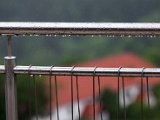 201505_010.jpg