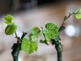 201505_048.jpg