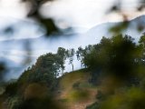201505_083.jpg