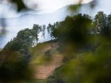 201505_084.jpg