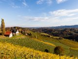 201610_005.jpg