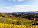 201610_006.jpg