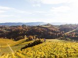 201610_008.jpg