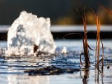 201610_028.jpg