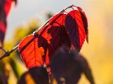 201610_030.jpg