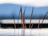 201610_041.jpg