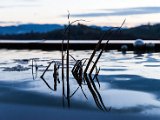 201610_046.jpg