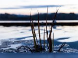 201610_047.jpg
