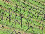 201610_049.jpg