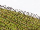 201610_051.jpg