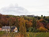 201610_053.jpg