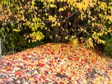 201610_054.jpg