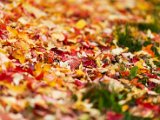 201610_055.jpg