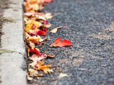 201610_056.jpg