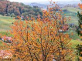 201610_063.jpg